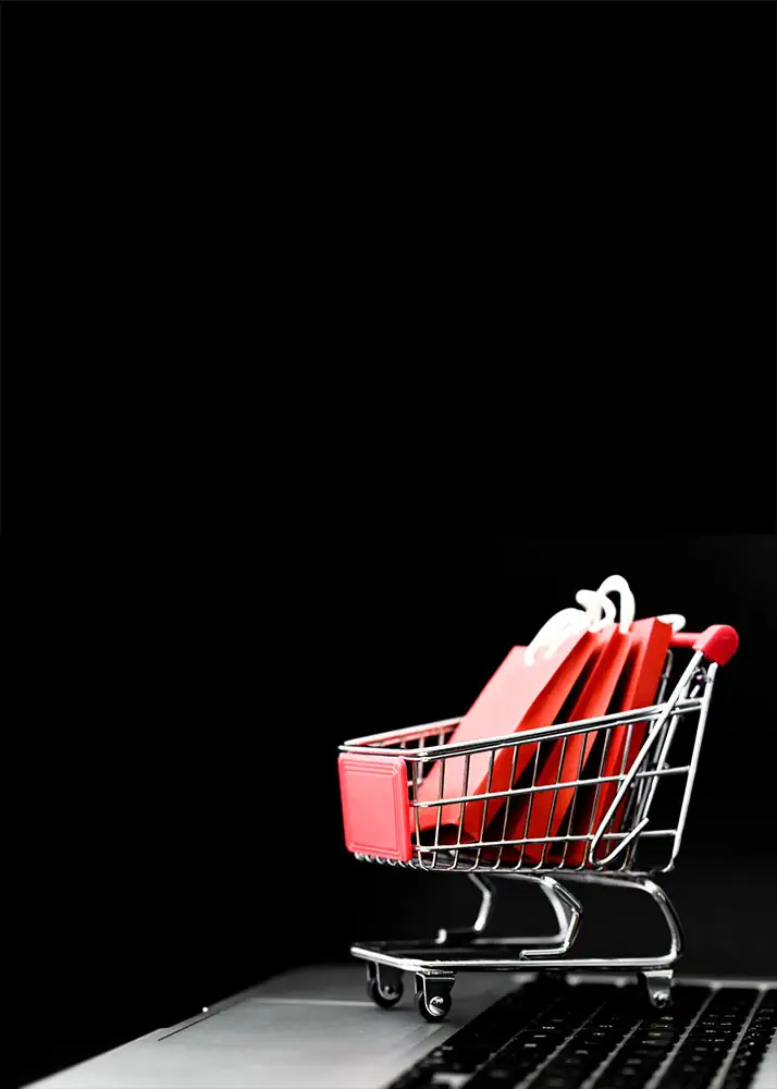 detalji izrade internet prodavnice